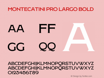 Montecatini Pro Largo Bold Version 1.020图片样张