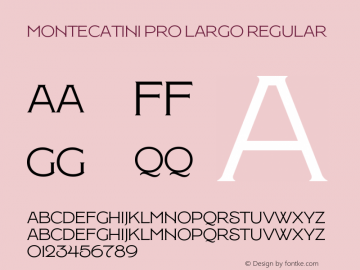 Montecatini Pro Largo Regular Version 1.020图片样张