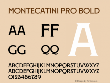 Montecatini Pro Normale Bold Version 1.020图片样张