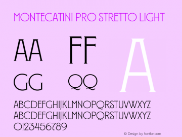 Montecatini Pro Stretto Light Version 1.020图片样张