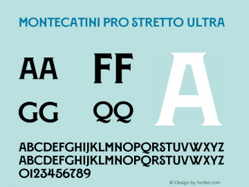 Montecatini Pro Stretto Ultra Version 1.020图片样张