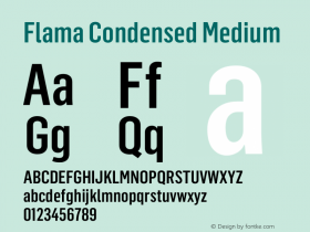 Flama Condensed Medium Version 1.000图片样张