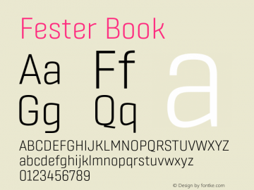 Fester Book Version 1.000;FEAKit 1.0图片样张