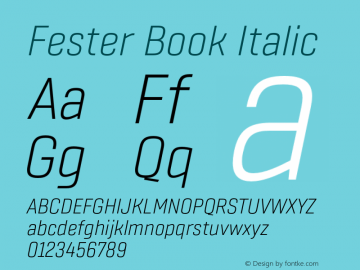 Fester Book Italic Version 1.000;FEAKit 1.0图片样张