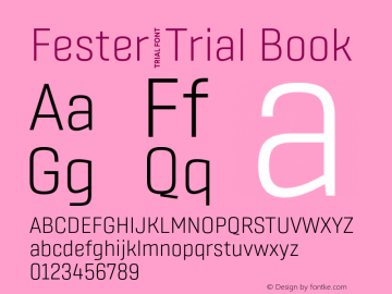 Fester_Trial Book Version 1.000;FEAKit 1.0图片样张