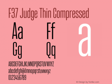 F37 Judge Thin Compressed Version 2.000;FEAKit 1.0图片样张