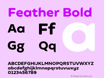 Feather Bold Version 1.001;hotconv 1.0.109;makeotfexe 2.5.65596图片样张
