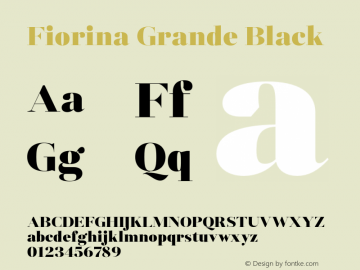FiorinaGrande-Black Version 1.000图片样张