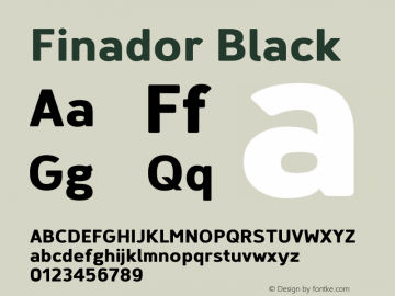 Finador Black Version 1.000 | wf-rip DC20190425图片样张