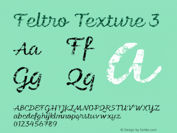 Feltro-Texture3 Version 1.000;PS 001.000;hotconv 1.0.88;makeotf.lib2.5.64775图片样张