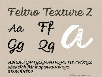 Feltro-Texture2 Version 1.000;PS 001.000;hotconv 1.0.88;makeotf.lib2.5.64775图片样张