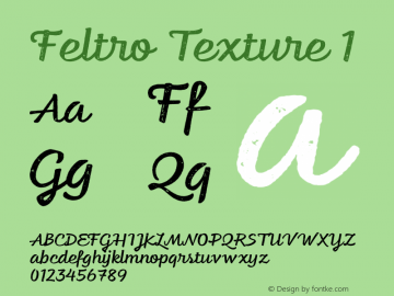 Feltro-Texture1 Version 1.000;PS 001.000;hotconv 1.0.88;makeotf.lib2.5.64775图片样张