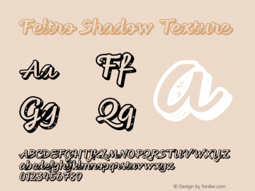 Feltro-ShadowTexture Version 1.000;PS 001.000;hotconv 1.0.88;makeotf.lib2.5.64775图片样张
