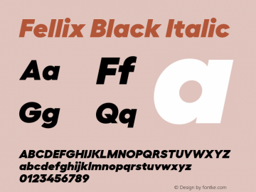 Fellix-BlackItalic Version 1.006;PS 001.006;hotconv 1.0.88;makeotf.lib2.5.64775图片样张