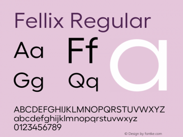Fellix-Regular Version 1.005;PS 001.005;hotconv 1.0.88;makeotf.lib2.5.64775图片样张