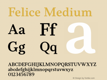 Felice Medium Version 1.000;PS 001.001;hotconv 1.0.56图片样张