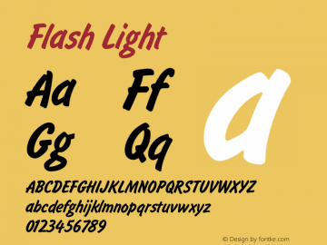 Flash-Light Version 001.001图片样张