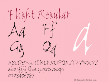 FlightPlain 001.000图片样张