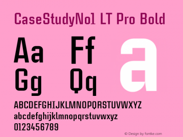 CaseStudyNo1LTPro-Bold Version 1.000;PS 001.000;hotconv 1.0.38图片样张