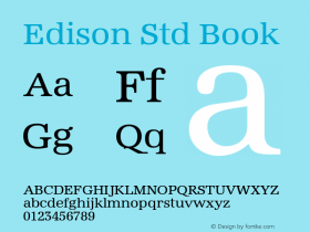 EdisonStd-Book Version 1.00图片样张