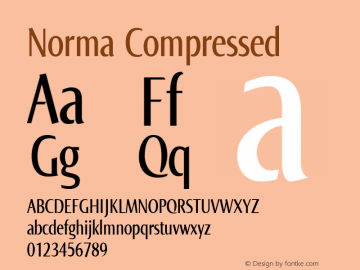 Norma Compressed Version 2.00, build 3, s3图片样张