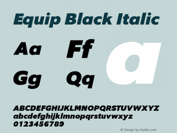 Equip Black Italic Version 1.000图片样张