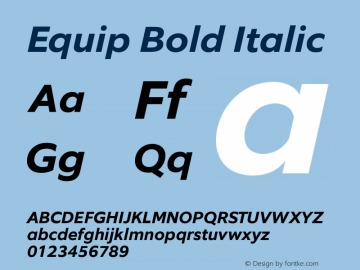 Equip Bold Italic Version 1.000图片样张