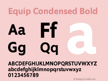 Equip Condensed Bold Version 1.000图片样张