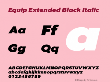 Equip Extended Black Italic Version 1.000图片样张