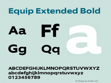 Equip Extended Bold Version 1.000图片样张
