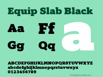 Equip Slab Black Version 1.000图片样张