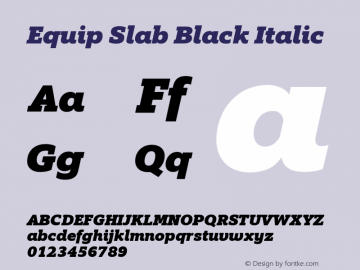 Equip Slab Black Italic Version 1.000图片样张