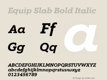Equip Slab Bold Italic Version 1.000图片样张