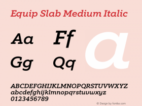 Equip Slab Medium Italic Version 1.000图片样张