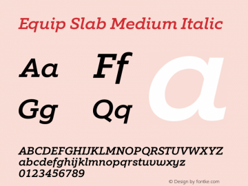 Equip Slab Medium Italic Version 1.000图片样张