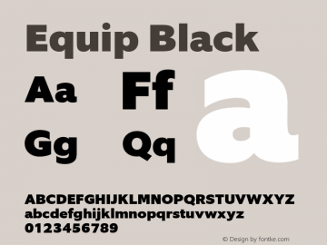 Equip Black Version 1.000图片样张