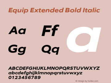 Equip Extended Bold Italic Version 1.000图片样张