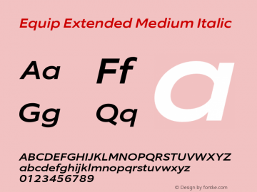 Equip Extended Medium Italic Version 1.000图片样张