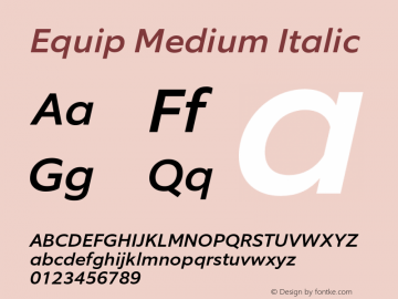 Equip Medium Italic Version 1.000图片样张