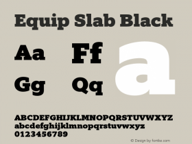 Equip Slab Black Version 1.000图片样张