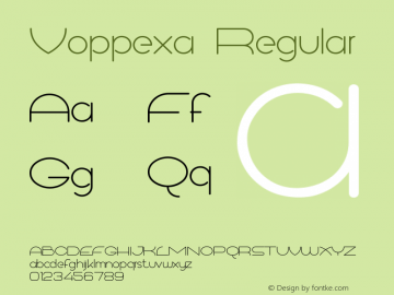 Voppexa Version 1.010;Fontself Maker 3.5.7图片样张