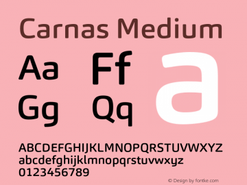 Carnas Medium Version 1.000图片样张