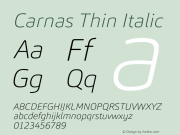 Carnas Thin Italic Version 1.000图片样张