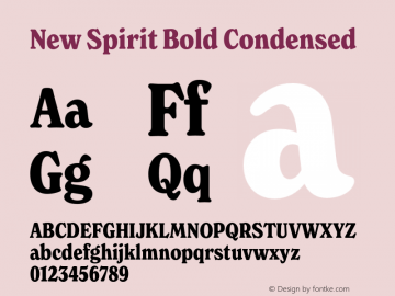 New Spirit Bold Condensed Version 1.001;FEAKit 1.0图片样张