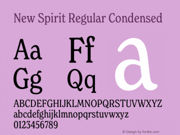 New Spirit Regular Condensed Version 1.001;FEAKit 1.0图片样张