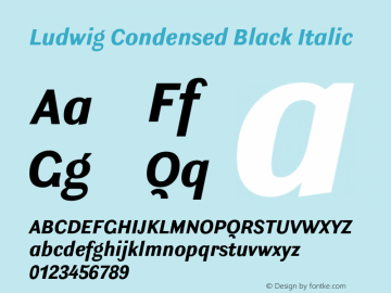 Ludwig Condensed Black Italic Version 3.001图片样张