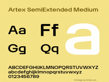 Artex SemiExtended Medium Version 1.005图片样张