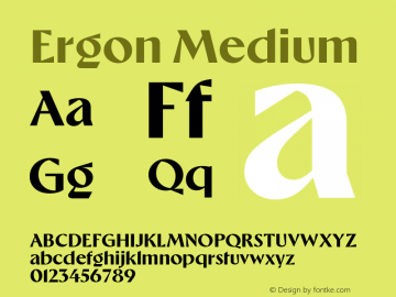 Ergon Medium Version 1.001;hotconv 1.0.117;makeotfexe 2.5.65602图片样张