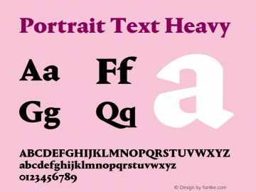 Portrait Text Heavy Version 1.001图片样张