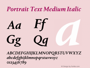 Portrait Text Medium Italic Version 1.001图片样张